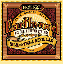 P02043 Earthwood Silk & Steel Regular     + 13-56 Ernie Ball