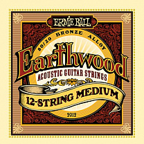 P02012 Earthwood Medium    12-  , ,11-52, Ernie Ball