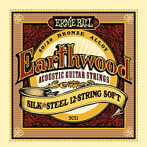 P02051 Earthwood Silk & Steel Soft    12-. ,+ 9-46, Ernie Ball