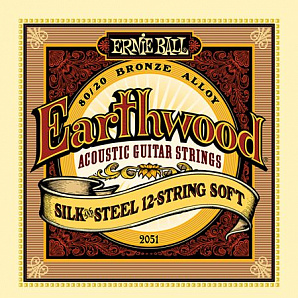 P02051 Earthwood Silk & Steel Soft    12-. ,+ 9-46, Ernie Ball