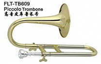 FLT-TB609   Conductor
