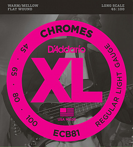 ECB81 Chromes    -, Light, 45-100, Long Scale, D'Addario