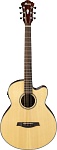 AELBT1-NT NATURAL HIGH GLOSS,  Акустическая гитара, IBANEZ