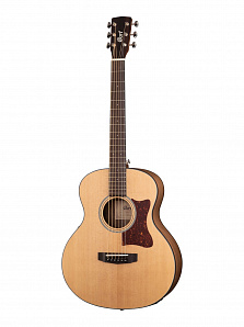 Little-CJ-Walnut-OP CJ Series -  3/4,  , Cort